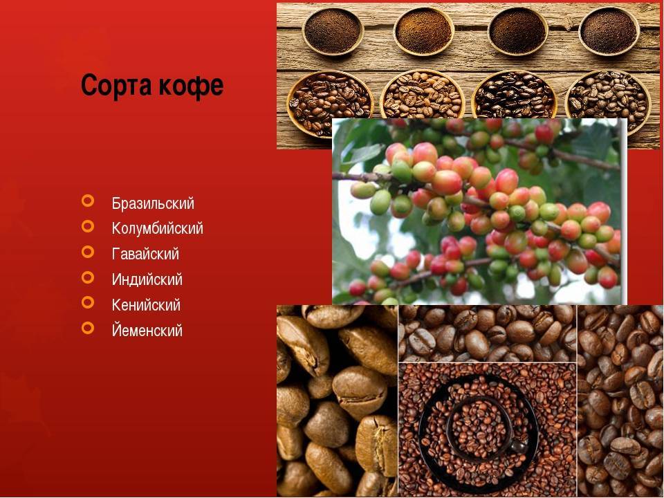 Виды кофе: интересные сорта, со специями и молочными добавками, различия по способу приготовления