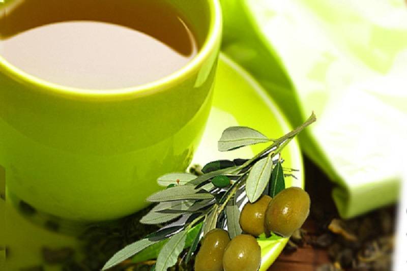Чай из листьев оливы – полезные свойства, рецепты, отзывы