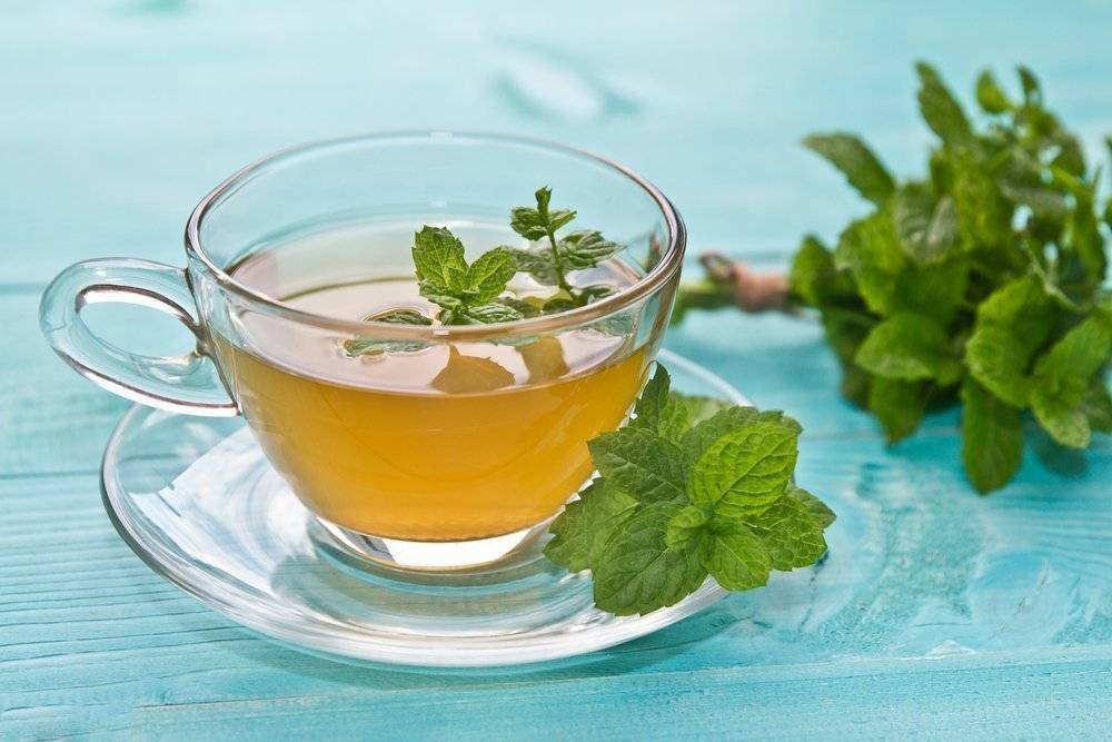 Чай с мятой – польза и вред