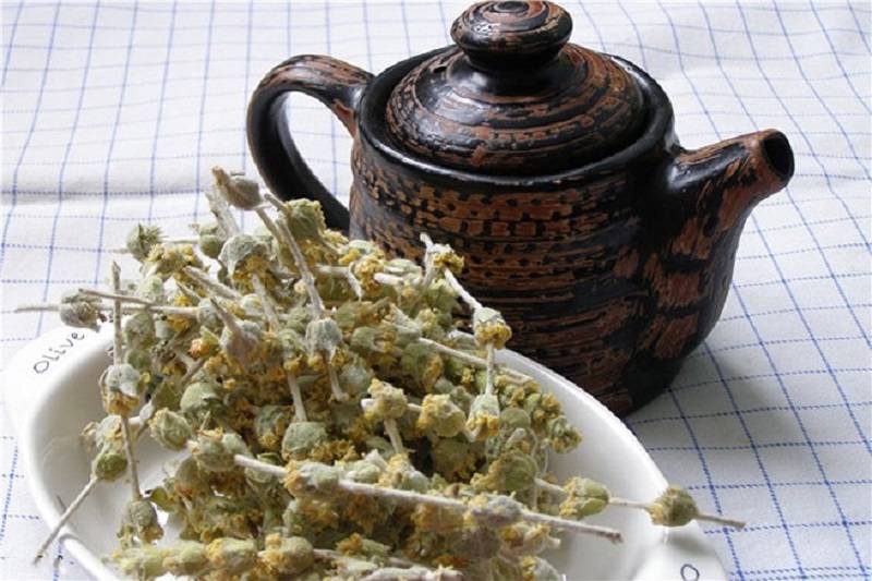 Татарский чай: полезные свойства и противопоказания