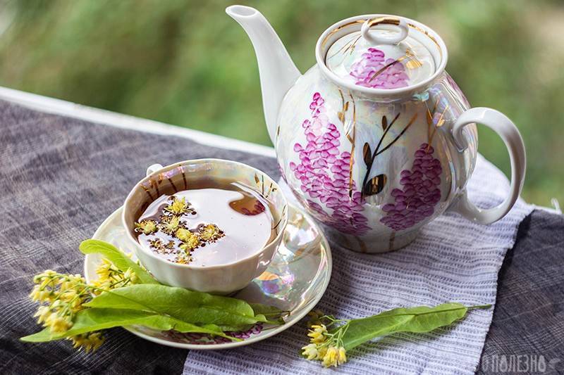 Липовый чай – вкуснейший целебный напиток