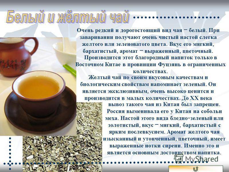 17 доказанных преимуществ белого чая, которые вас удивят
