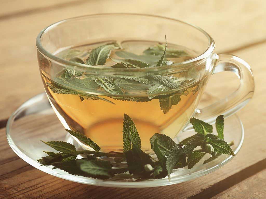 Рецепты чая с эвкалиптом — как правильно заваривать?