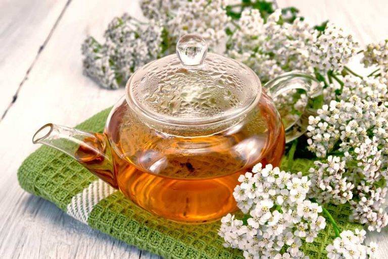 Чай из календулы — польза и вред для женщин и мужчин