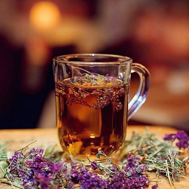 Чай с душицей: мягкий вкус, несомненная польза для организма