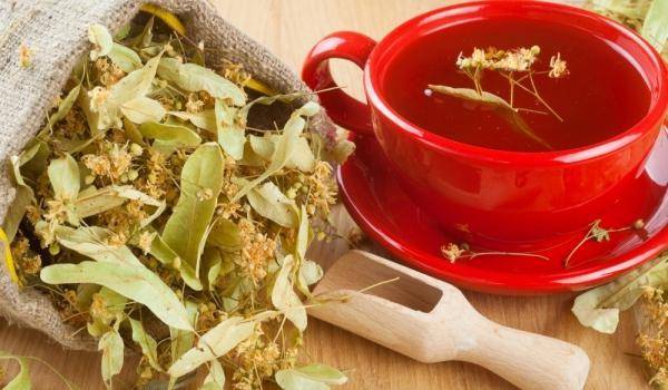 Липовый чай: полезные свойства, как заваривать при беременности, противопоказания