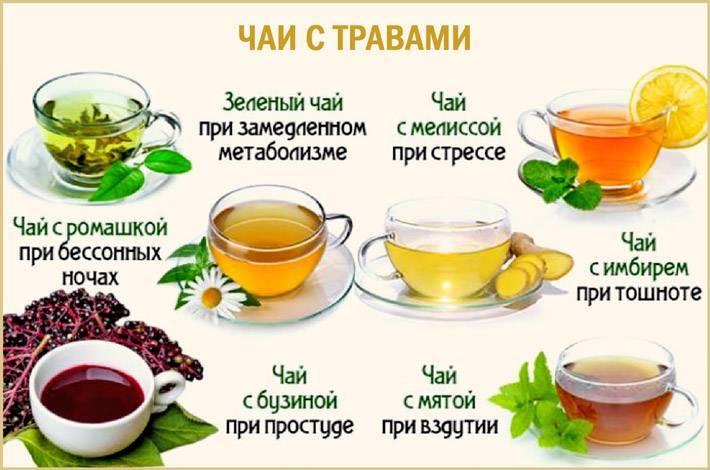 Рецепты вкусного и полезного домашнего чая из трав
