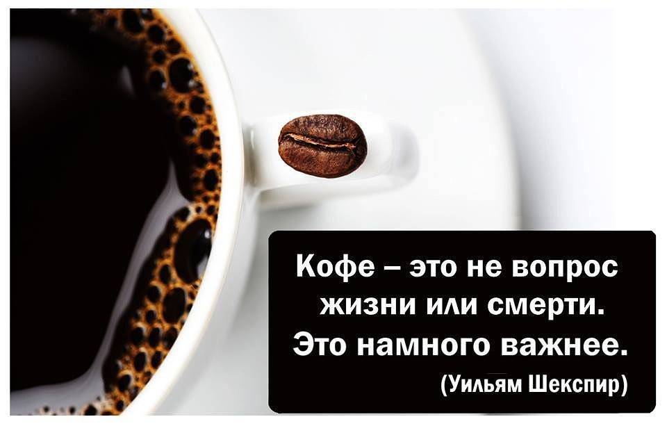 Цитаты про кофе - сборник лучших цитат
