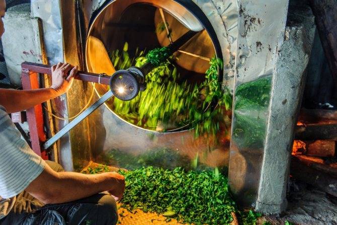 Производство чая - с чего начать в 2021 году и сколько можно заработать - лайфхакер