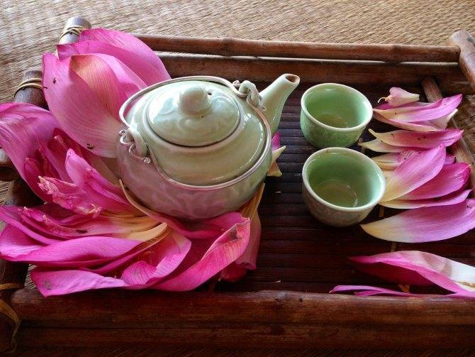 Чай с лотосом, описание продукта и действие на организм
