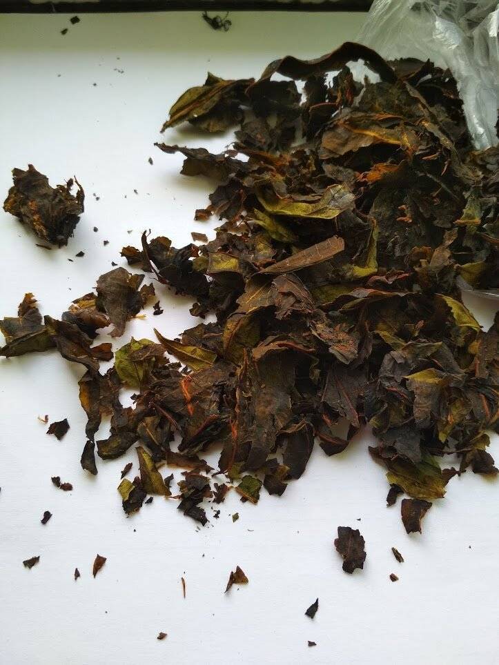 Ферментация листьев малины в домашних условиях: как ферментировать и сделать чай?