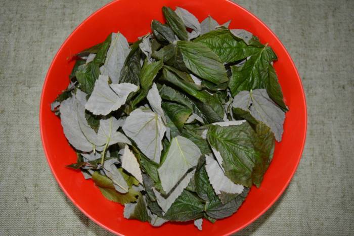 Листья малины в лечебной практике: свойства, рецепты чая