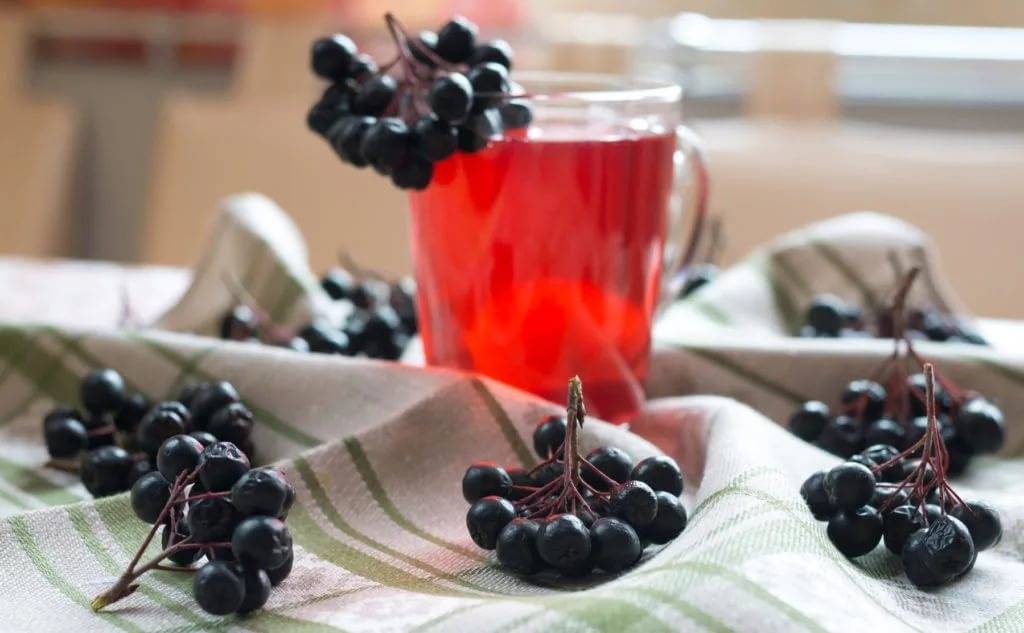 Чай с черноплодной рябиной (аронией) — полезные свойства и рецепты