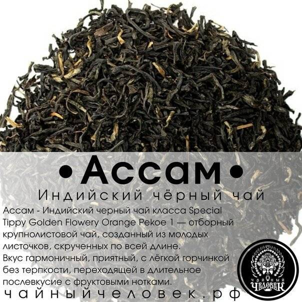 Чай ассам: описание индийского черного чая, полезные свойства