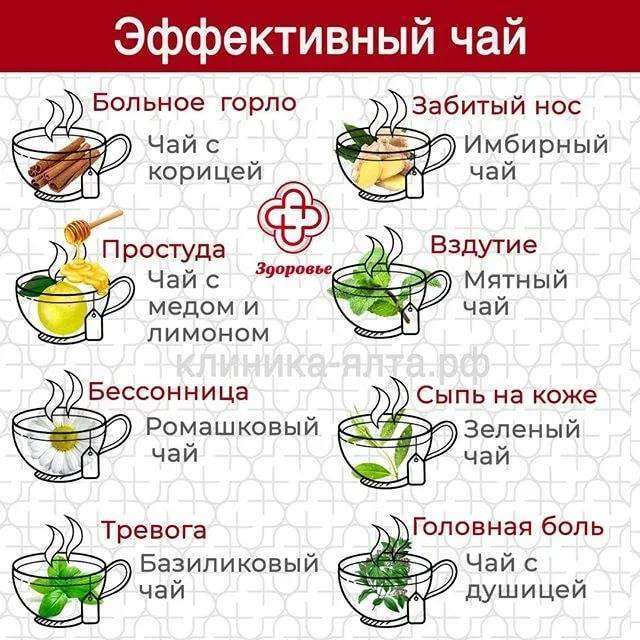 Имбирный чай: польза. лучшие рецепты имбирного чая