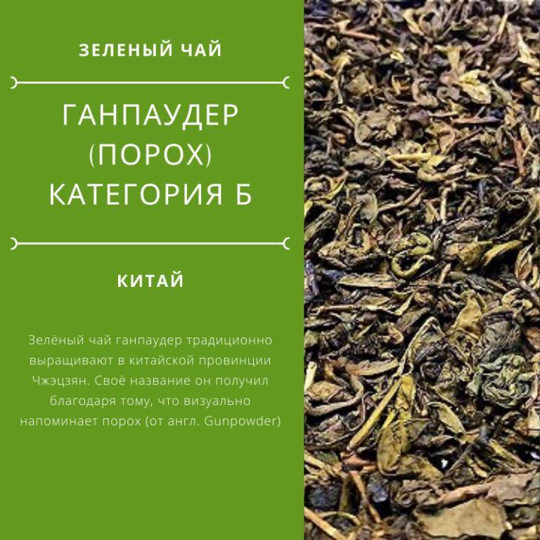 Ганпаудер («зеленый пушечный порох»): что это за чай, где производится и как его заваривать? описание листового китайского сорта, перевод, состав, польза и вред