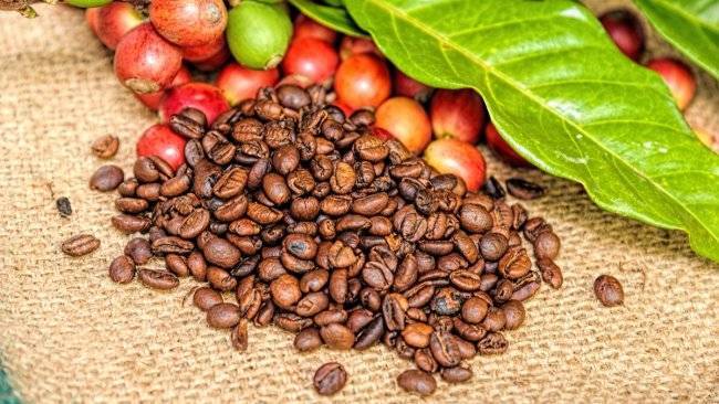 Какой вкус у кофе из разных стран и почему он отличается?