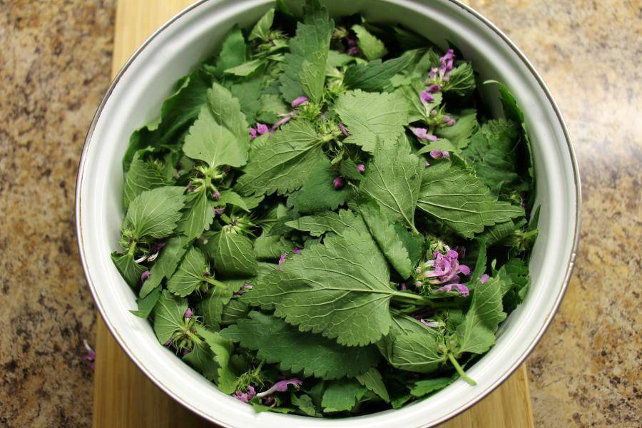 Чай из смородиновых листьев, польза и вред, как правильно приготовить