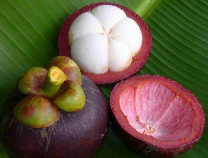 Мангостин — тропический фрукт из южно-восточной азии
