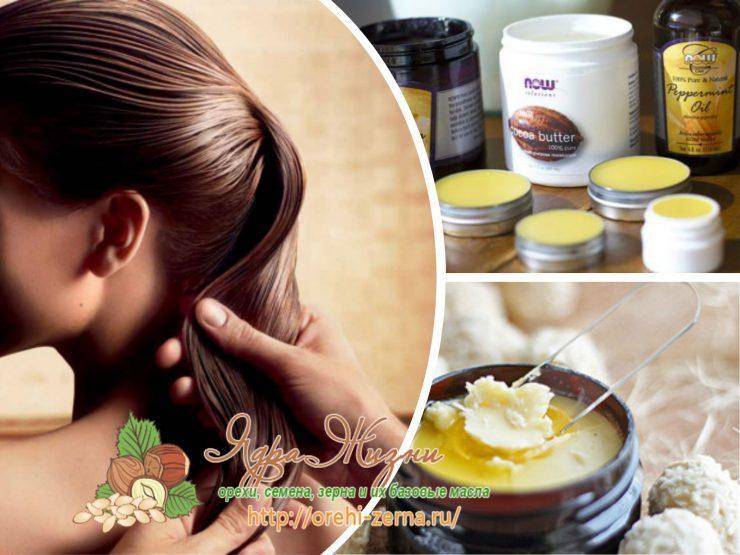 Масло амлы для красоты и здоровья волос. способы применения, рецепты масок для волос с добавлением масла амлы.