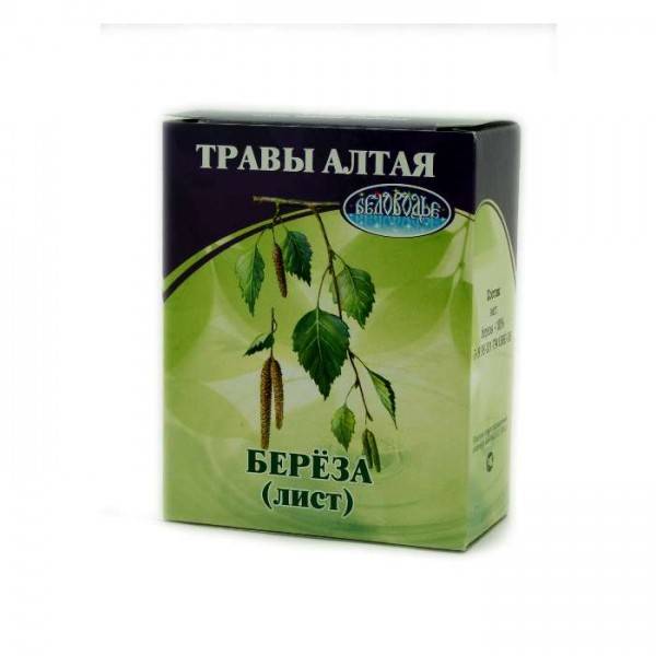 Лечебный чай из березовых листьев, почек и коры