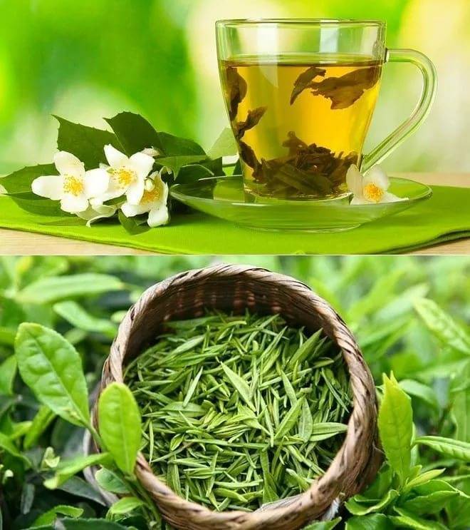 Зеленый чай для лица – польза, вред, рецепты