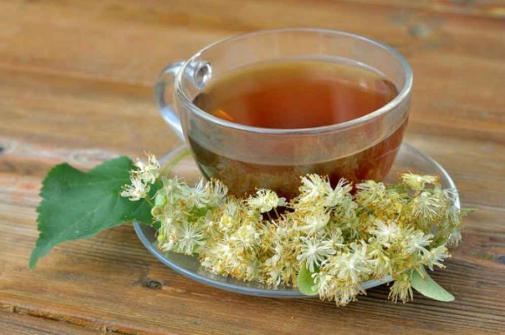 Липовый чай: полезные свойства для взрослых и детей