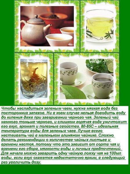 Похудение с помощью зеленого чая