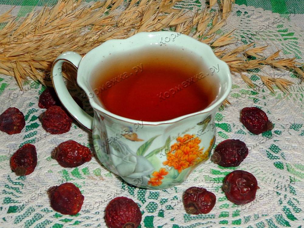 Рецепты чая с барбарисом и его полезные свойства