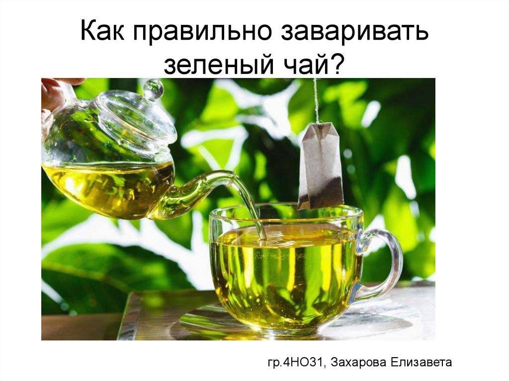 Как заваривать зеленый чай правильно - сколько можно заваривать зеленый чай и при какой температуре