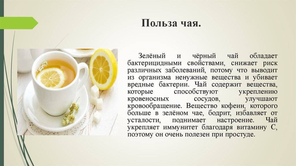 Татарский чай: рецепты приготовления