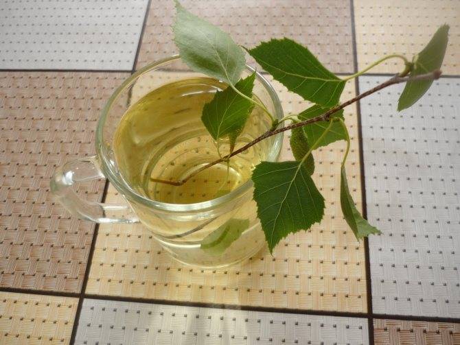 Лечебный чай из березовых листьев, почек и коры