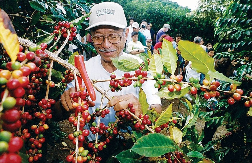 Где выращивают кофе ⋆ kofeinfo - информационный сайт о кофе