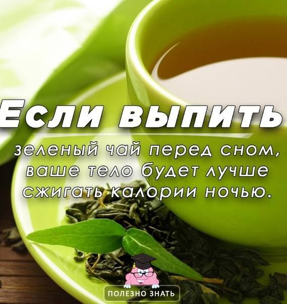 Можно ли пить зеленый чай перед сном