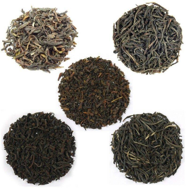 Особенности сортов цейлонского чая из шри-ланки