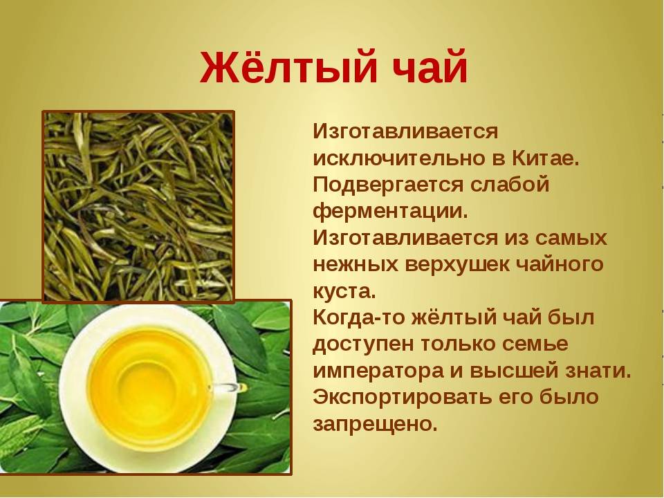 Египетский желтый чай «хельба» — стоит дороже золота, почему?