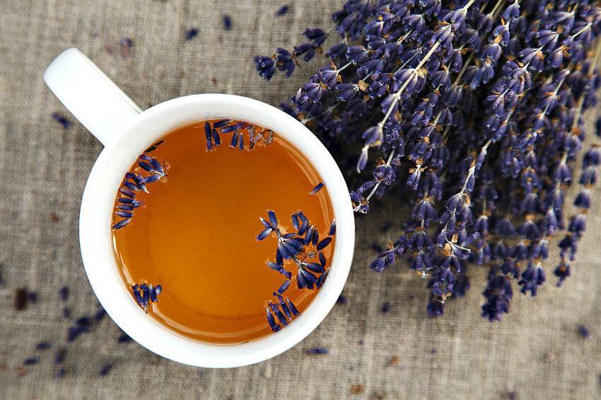 Чай с лавандой — полезных свойств напитка не счесть