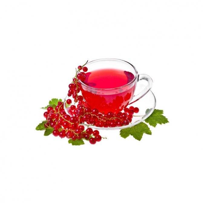 Чай из листьев смородины и малины: польза и вред. ферментированный чай из листьев смородины