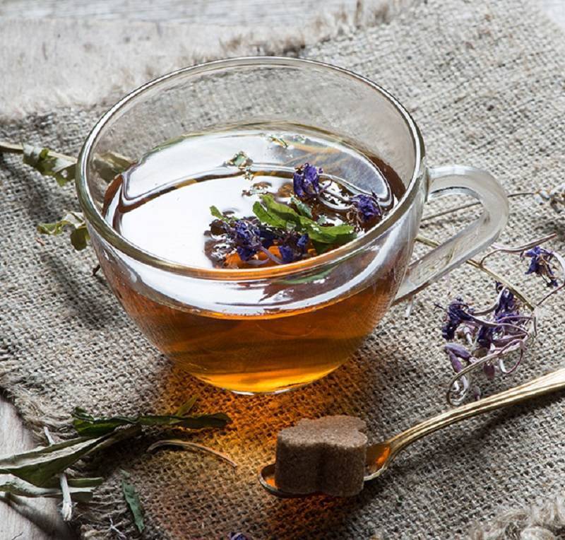 Чай из земляничных листьев польза и вред - подробнее о чае