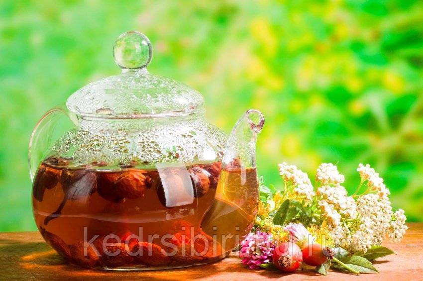 Травяные и фруктовые чаи - польза и применение