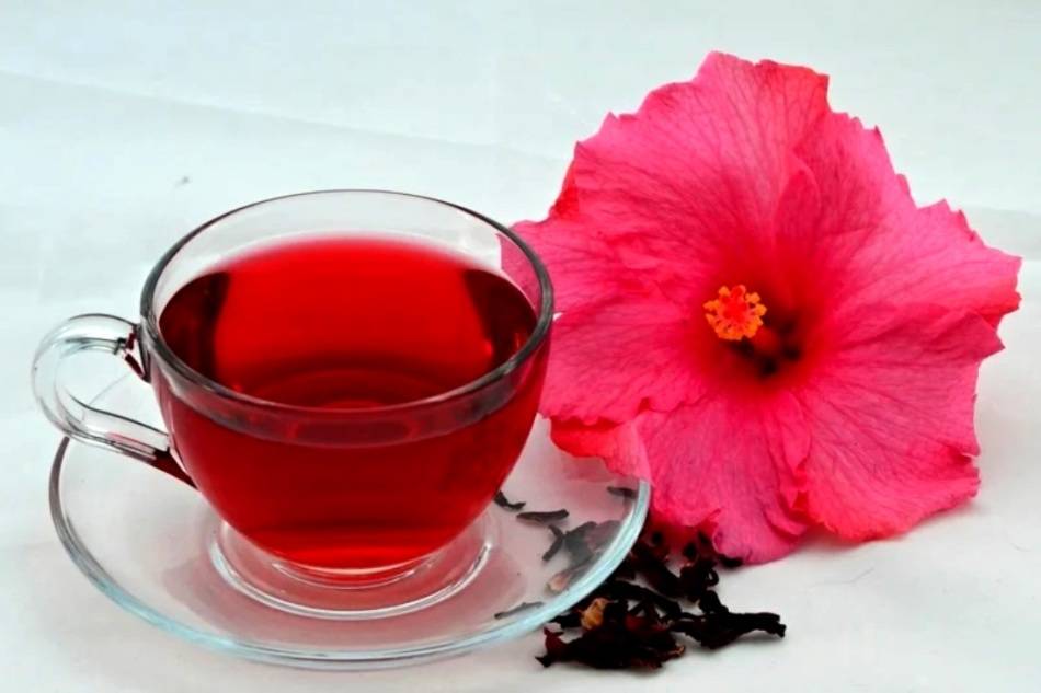 Каркаде чай: полезные свойства и противопоказания