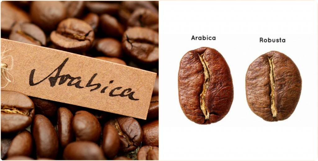 ☕лучшие сорта кофе арабика в зернах на 2021 год