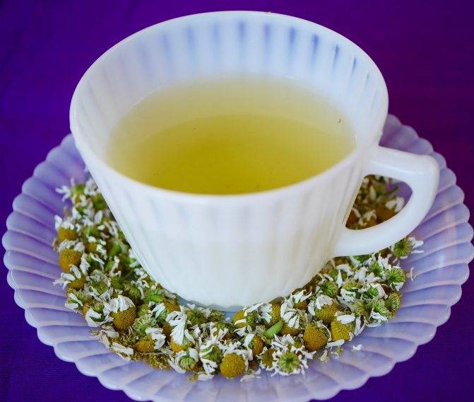 Ромашковый чай польза и вред для мужчин, женщин и детей. знание !