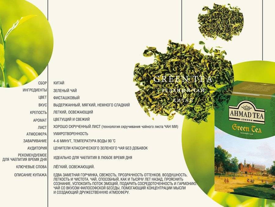 Зеленый чай: история, состав и калорийность, польза, основные правила заваривания
