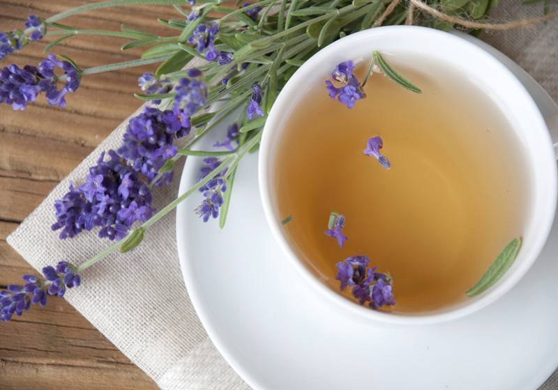Чай с лавандой: полезные свойства, противопоказания, рецепты