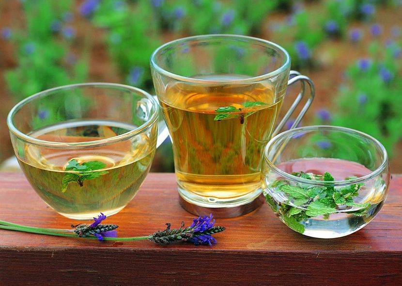 Чай с тархуном: рецепт, применение и полезные свойства