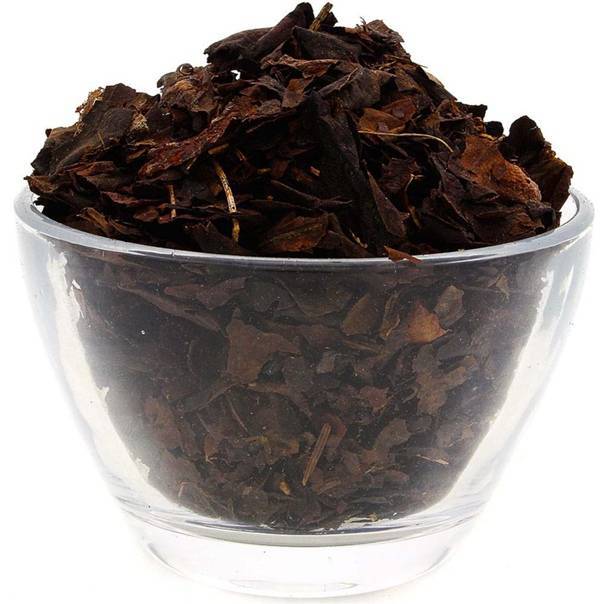 Чай из бадана (чигирский чай) - лечебные свойства