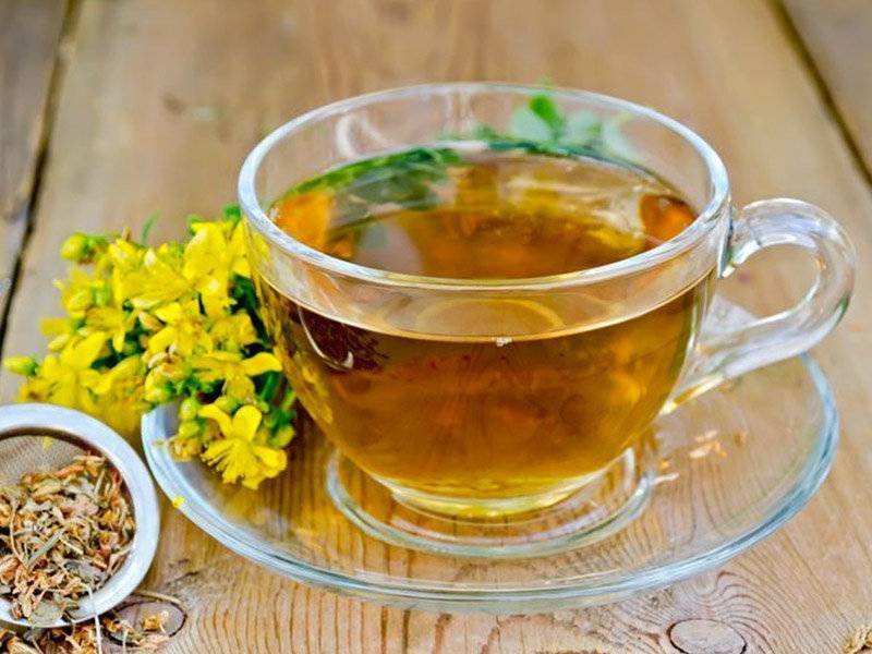 Чай из зверобоя: польза и вред, свойства и особенности применения :: syl.ru