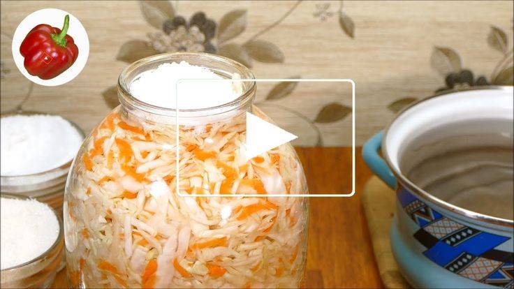 Квашеная капуста классическая - 10 рецептов приготовления с пошаговыми фото