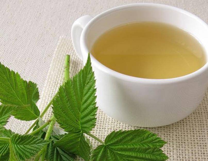 Чай из листьев малины польза и вред, исследования полезных свойств